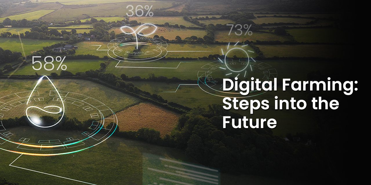 Digital Farming: Steps into the Future